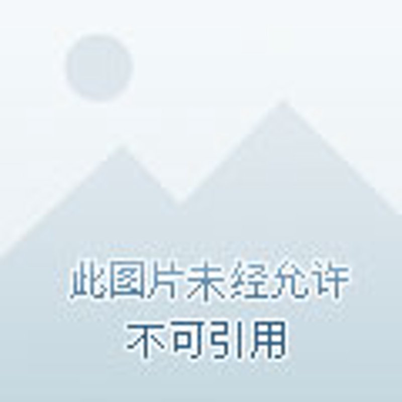 熏蒸证明：保障您货物安全的最后一道防线